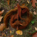 cabinet-of-crafts avatar