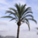 caboroig-blog avatar