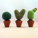 cactibuddies avatar