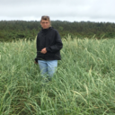 cactus-fruits avatar