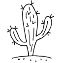 cactus-in-art avatar