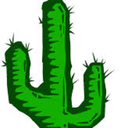 cactus-land avatar