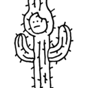 cactus-punk avatar