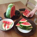 cactuscactuscactus avatar