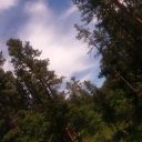 cactuscryptid avatar