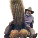 cactusfactus avatar