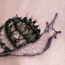 cactusnail avatar