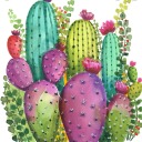 cactusneedsahug avatar