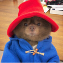 cactuswithflowers avatar