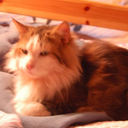 cadencekismet avatar