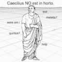 caeciliusmemelord avatar