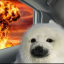 caelan0d avatar