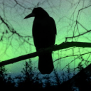 caelumcorvidae avatar