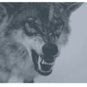 caer-para-luego-volar-lejos avatar