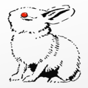 caerbannogbunny avatar