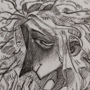 caesar-pinaceae avatar