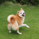 cafemocha5-blog avatar