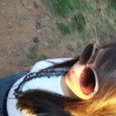 cafeparamialma-blog avatar