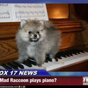 caffecorretto avatar