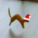 caffeinated--trauma-ferret avatar