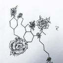 caffeinatedcake avatar