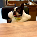 caffeine-ated avatar