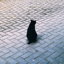 caffeine-fairy avatar