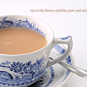 caffeineandcatnip avatar