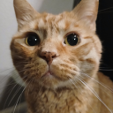 caffeinechaotic avatar