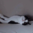 caffeineforclosers avatar