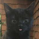 caffeineghostie avatar