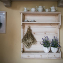 caffeinetaurus avatar