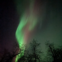 caffeinewineo avatar