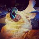 caffeinewitch avatar