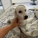 cafofovaziodemim avatar