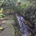 cagedbycravings avatar