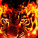 cagedemptytiger avatar