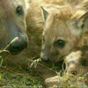 cais-kin-blog avatar