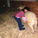 caitlinflorio avatar