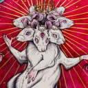 caitlinhackettart avatar