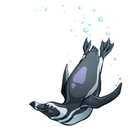 caitlinnothhardillustration avatar