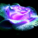 caitlyn-dreams avatar