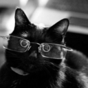 caiusmariuscaesar avatar