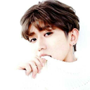 caixukunarchive avatar