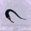 cajetaconmiel avatar