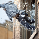 cakeforeveryone avatar