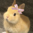 cakeprincess07 avatar