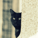 cakesnthoughts avatar