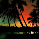 calabashcousin avatar