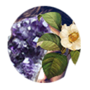 calabocapensamento avatar